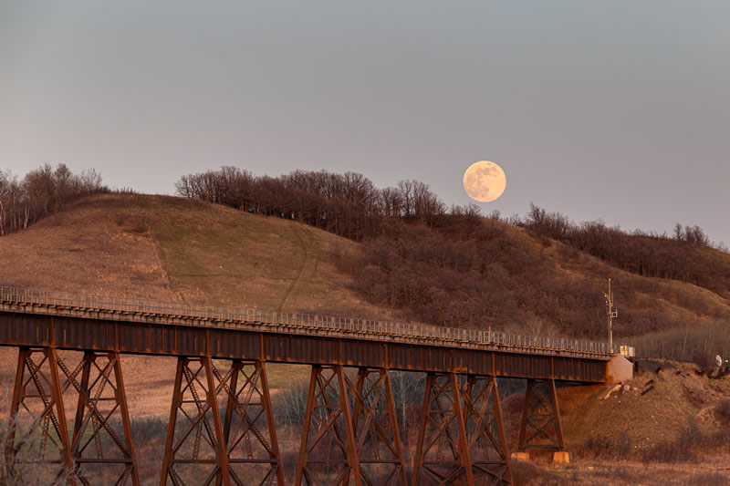 Moon Rising by Andrew March